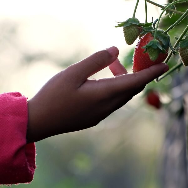Jak szybko sprzedać nieruchomość komercyjną