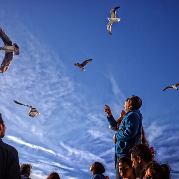 Mrzeżyno jaka plaża