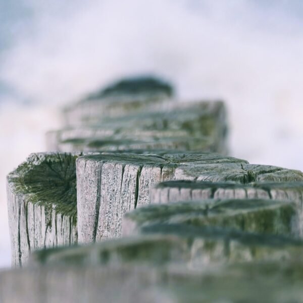 Jaka plaża w Trójmieście